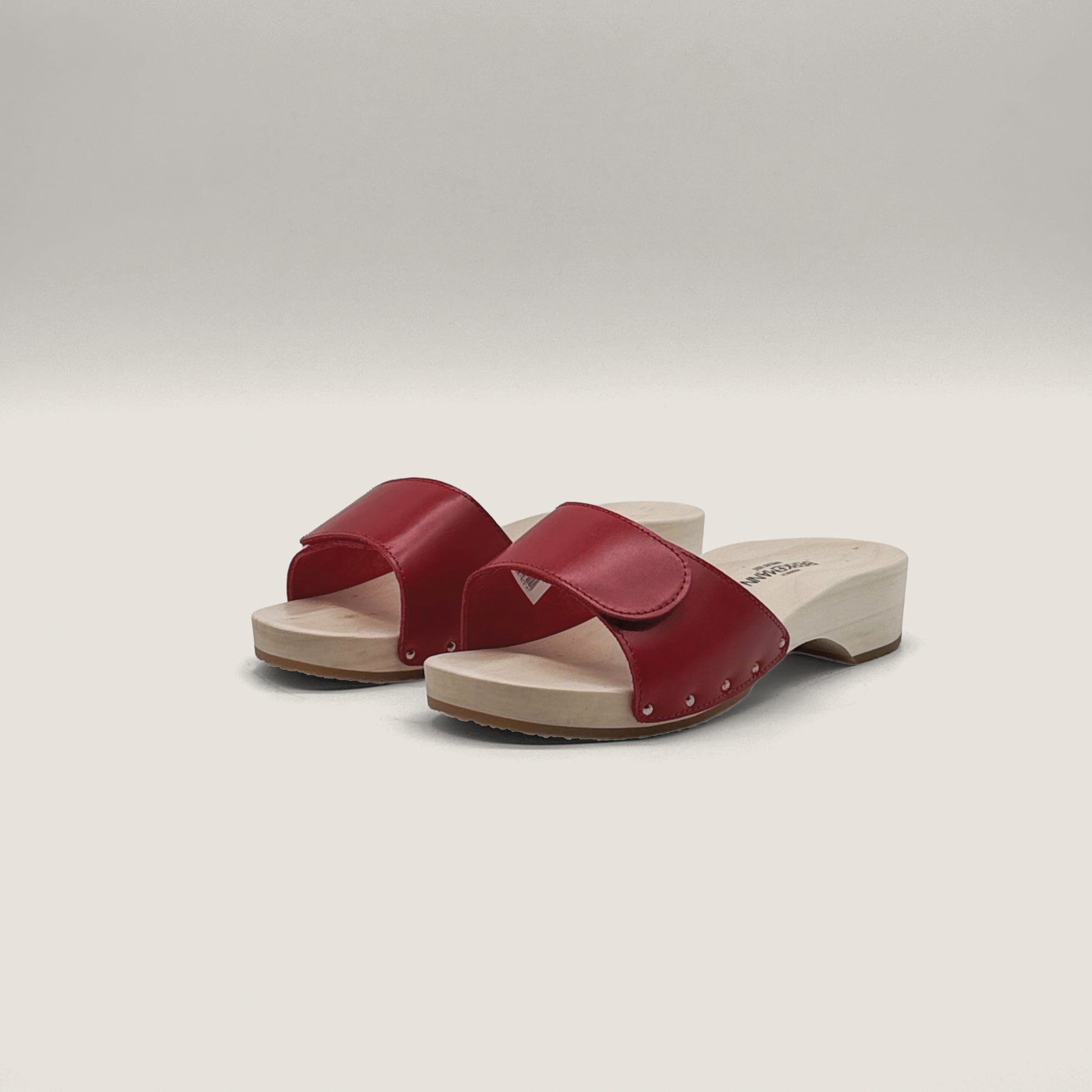 Absatz 59 Klett Natur Rot