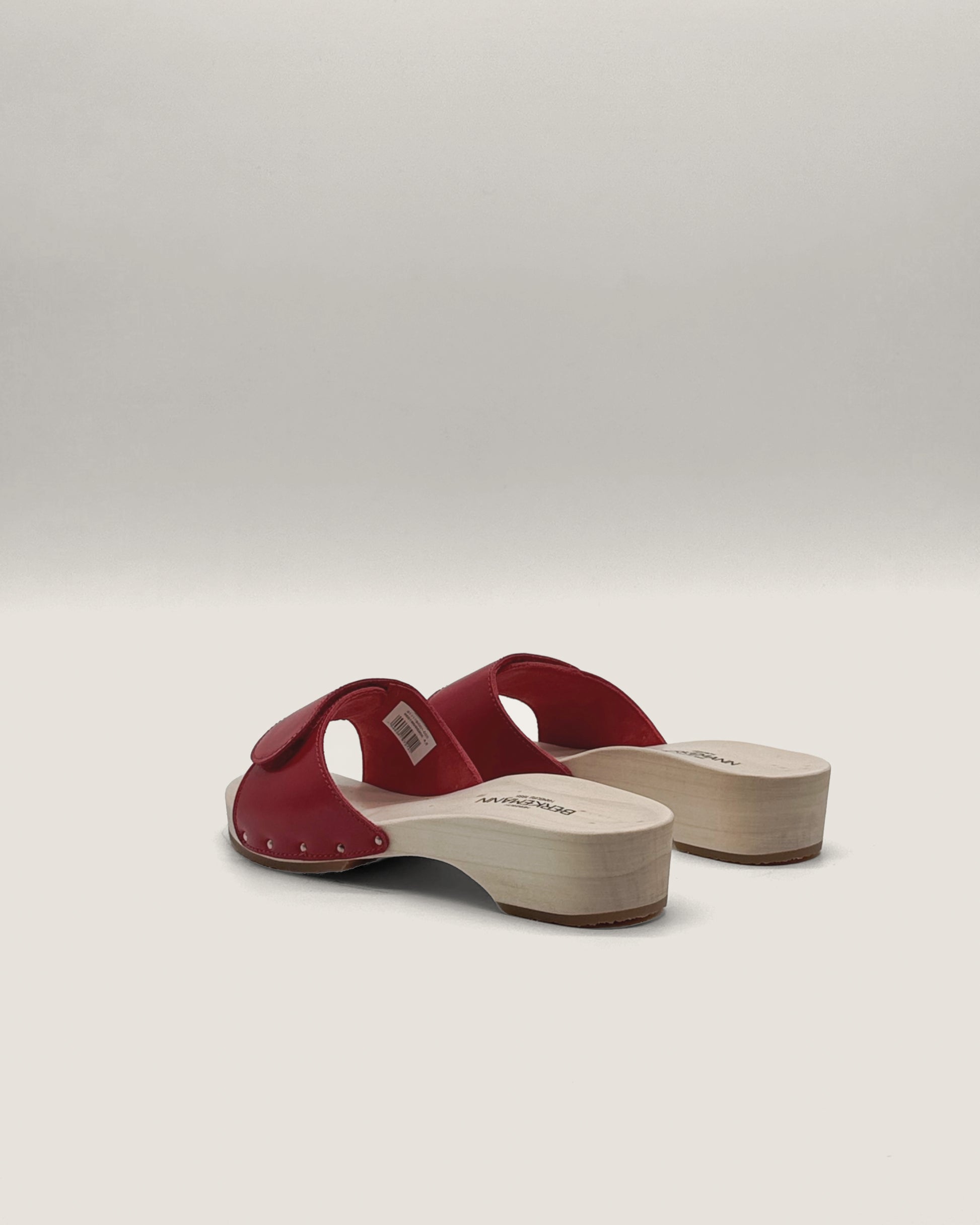 Absatz 59 Klett Natur Rot