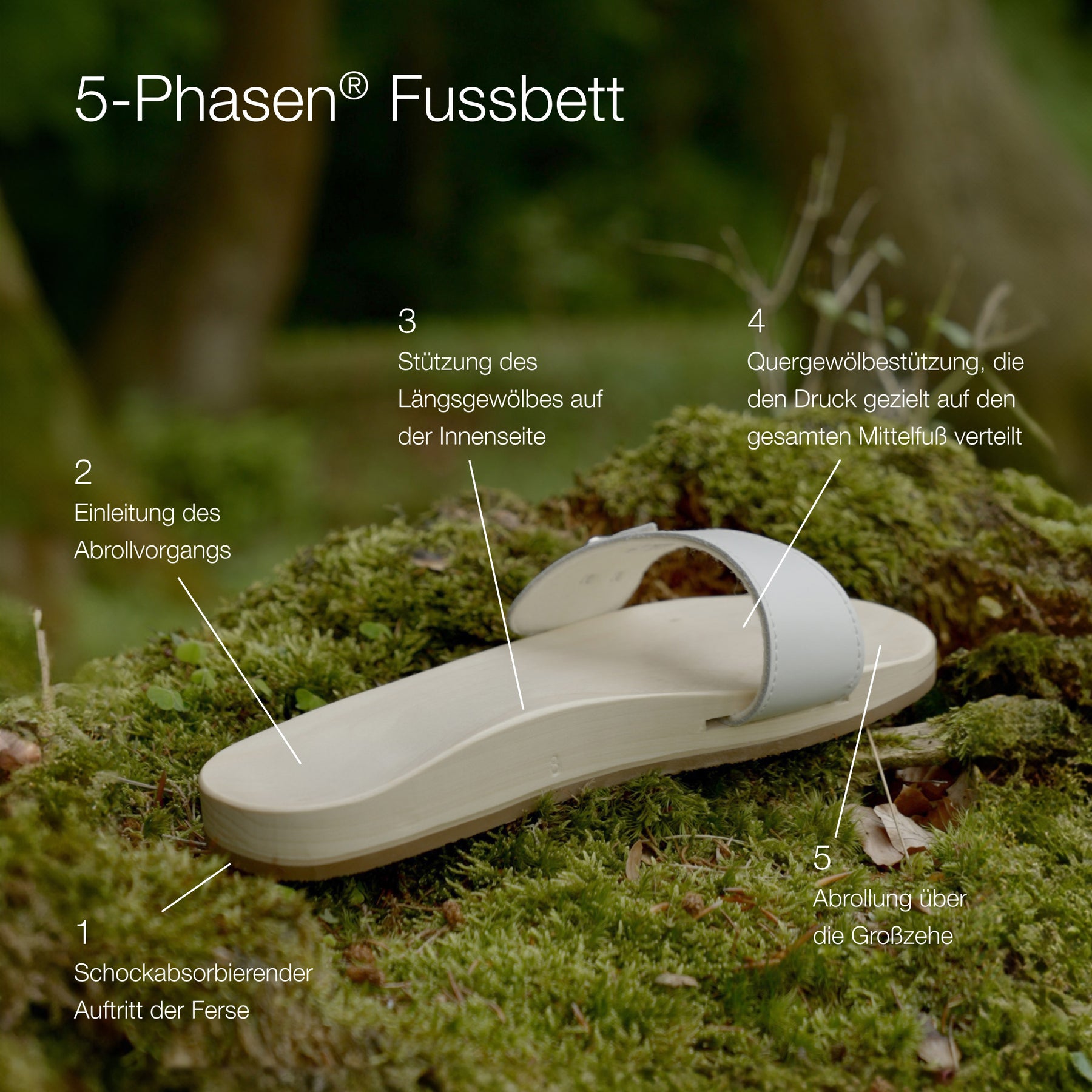 Five phases of product development